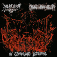 In Commvnio Tenebrae
