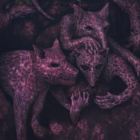 Album cover for Arrayed Claws