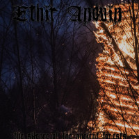 Album cover for The Silence of the Ancient Forests