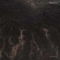 Album cover for Bifurcaria Bifurcata
