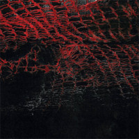 Album cover for Alterity