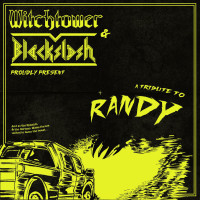 Album cover for A Tribute to Randy