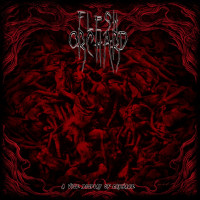 Album cover for A Vile Display of Carnage