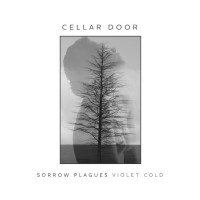 Album cover for Cellar Door