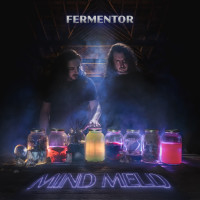 Mind Meld