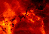Stellar Remnants of a Crimson Void