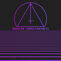 Modular Consciousness