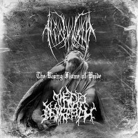 Album cover for The Rising Flame of Pride