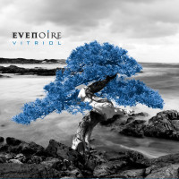 Album cover for Vitriol