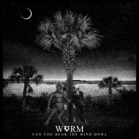Album cover for Can You Hear the Wind Howl