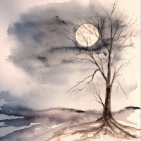 Album cover for Animus Mundi