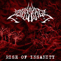 Album cover for Rise of Insanity