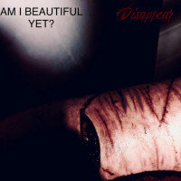 Album cover for Am I Beautiful Yet?