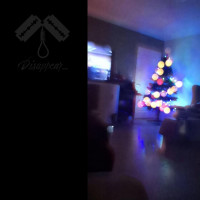Album cover for The Ornaments Won't Be The Only Thing Hanging From The Christmas Tree