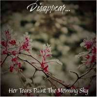 Album cover for Her Tears Paint The Morning Sky
