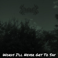 Album cover for Words I'll Never Get To Say