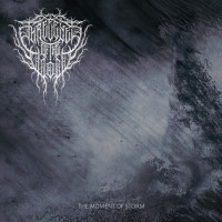 Album cover for The Moment of Storm