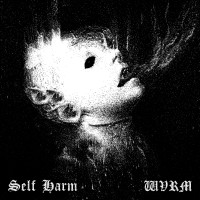 Album cover for Self Harm x WVRM