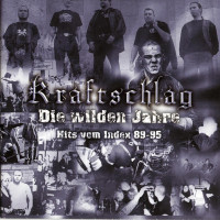 Album cover for Die Wilden Jahre (Hits Vom Index 89-95)