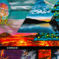 Album cover for Somnuri
