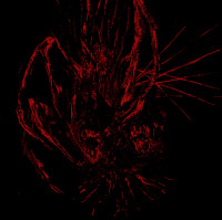 Album cover for Wielding Malignity