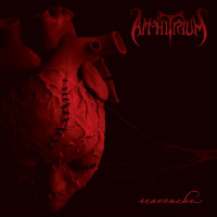Album cover for Scarsache