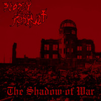 Album cover for The Shadow of War