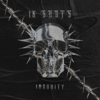 Album cover for 16 SHOTS (Original Mix)