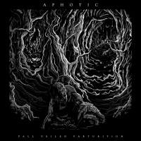 Album cover for Pall Veiled Parturition