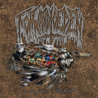 Album cover for A Human Artefact