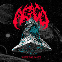 Album cover for Into the Maze