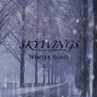 Album cover for Winter Road