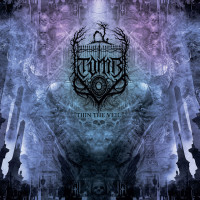Album cover for Thin the Veil