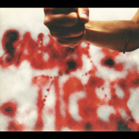 Album cover for Saber Tiger