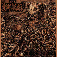 Album cover for Sin of Skin