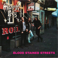Album cover for Blood Stained Streets