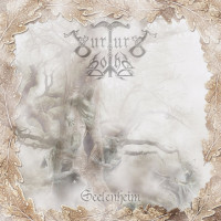 Album cover for Seelenheim