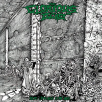 Album cover for Into Lifeless Shrines