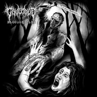 Album cover for Bloodspiller