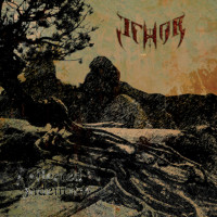 Album cover for Reflected Identity