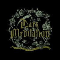 Album cover for Where the Darkness Bleeds