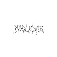 Album cover for Insolence