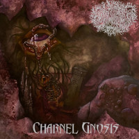 Album cover for Charnel Gnosis