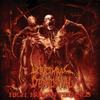 Album cover for High Human Feelings