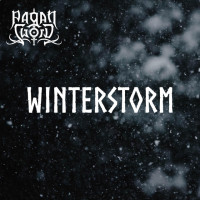 Album cover for Winterstorm