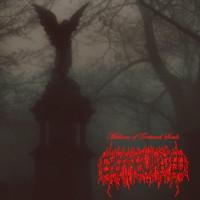 Album cover for Millions of Tortured Souls