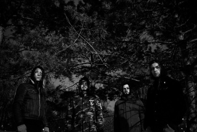 The God's Favourite Whore