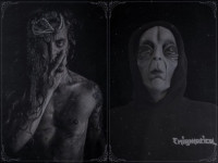 Dark Energy Entities