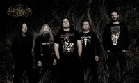 Album cover for Shadows of the Damned