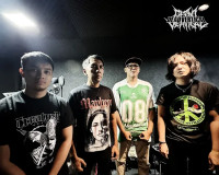 Album cover for XVII